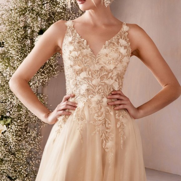 NEW CHAMPAGNE PROM PARTY EVENING FORMAL LACE FLORAL A-LINE DRESS CD0181 - Picture 7 of 7